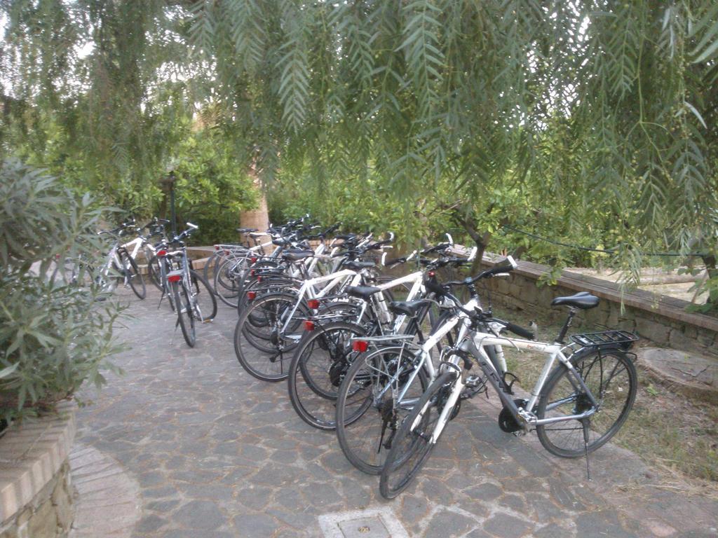 Farm stay Zio Cristoforo Casal Velino
