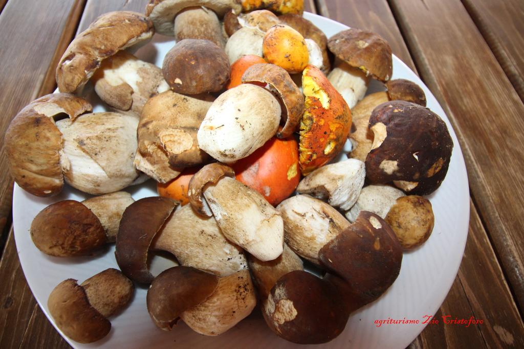 Zio Cristoforo Séjour à la ferme