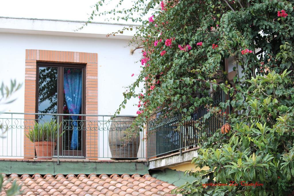 Farm stay Zio Cristoforo Casal Velino
